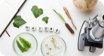 Vista superior de uma bancada de laboratório com microscópio, placas de Petri com brotos, folhas e a palavra "NATURE" em blocos